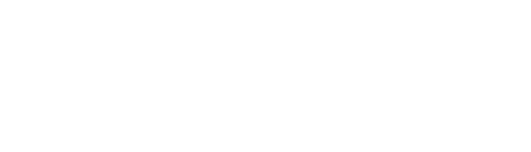 Logomarca Banese Card